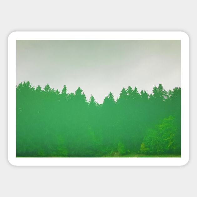 Forest Reflecting In The Calm Water Sticker by Kate-P-